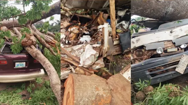 Foto gosiri ebe otu osisi dara ma gbuo ọtụtụ ndị mmadụ ruru iri na otu n'Enugwu steeti.