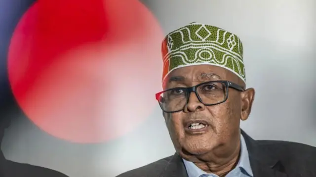 Somaliland's president Abdirahman Mohamed Abdullahi