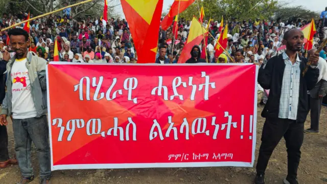 ሰልፈኛታት ኣብ ኣላማጣ