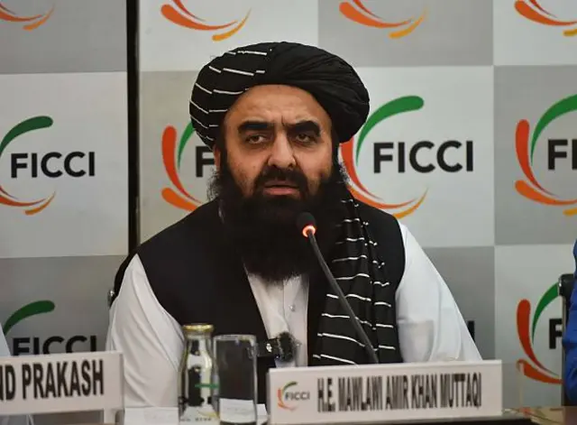 تصویر امیر خان متقی.
