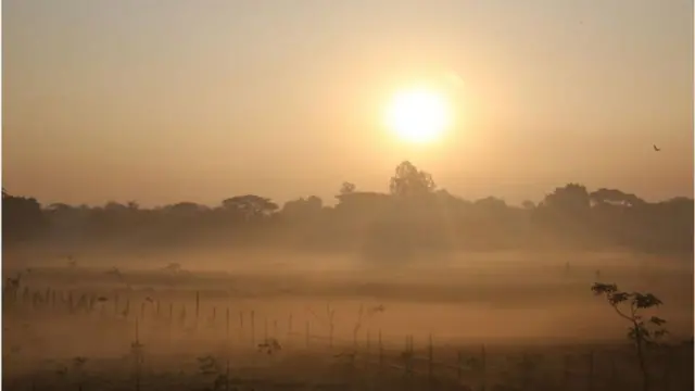 একটি মাঠের পেছনে সূর্য ডুবে যাচ্ছে