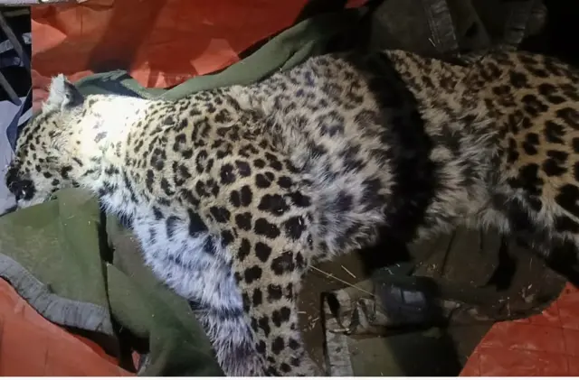 پاکستان کے زیرانتظام کشمیر