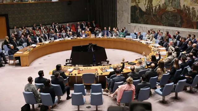 شورای امنیت سازمان ملل متحد