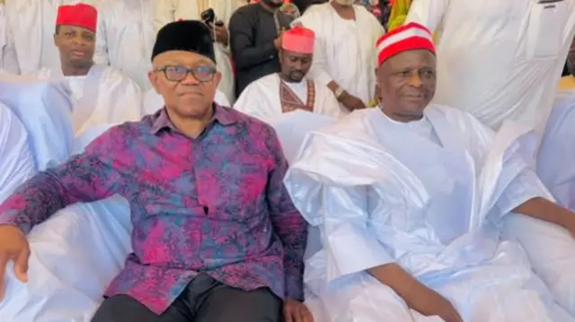 Ƴan hamayyar Najeriya