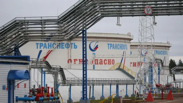 В порту «Приморский» находится морской нефтеналивной порт, принадлежащий «Транснефти»