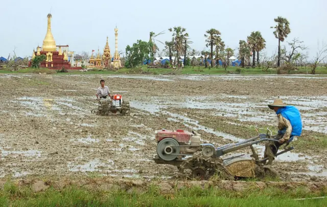 လယ်ယာလုပ်ငန်းခွင်တစ်ခု (ပုံဟောင်း)