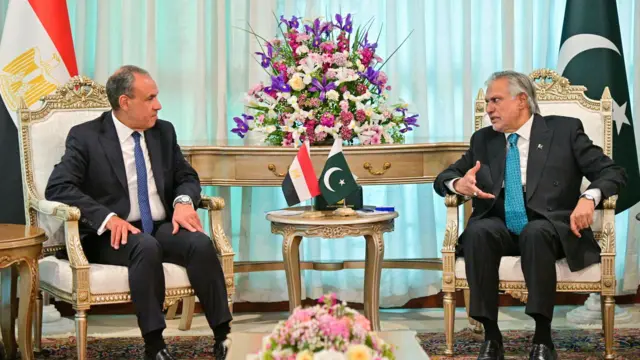 وزير الخارجية المصري بدر عبد العاطي مع نظيره الباكستاني إسحاق دار.