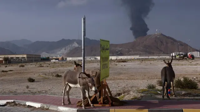Животные стоят у дорожного знака, в то время как над нефтяной промышленной зоной Фуджейры поднимается дым после пожара на фоне конфликта США и Израиля с Ираном, Фуджейра, Объединенные Арабские Эмираты, 3 марта 2026 года.