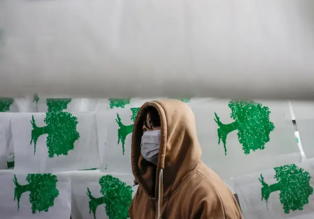 नेपाली कांग्रेसको झन्डा छेउमा उभिएका एक जना व्यक्ति।