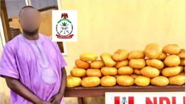 Ndị ụlọọrụ NDLEA anwụchiela onye bụbu ‘councillor’ na Legọs Steeti maka ibu ọgwụike