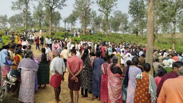 நீலகிரி: கூடலூர் அருகே காட்டுயானை தாக்கி 2 பேர் உயிரிழப்பு