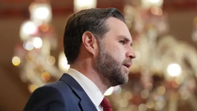 فانس في صورة جانبية يظهر مرتدياً بدلة رسمية تبدو كحلية اللون وقميصاً أبيض وربطة عنق حمراء. بشرته فاتحة وشعره أشقر غامق ولحيته بلونين أشقر غامق وأبيض.