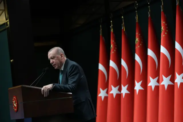 الرئيس التركي رجب طيب أردوغان