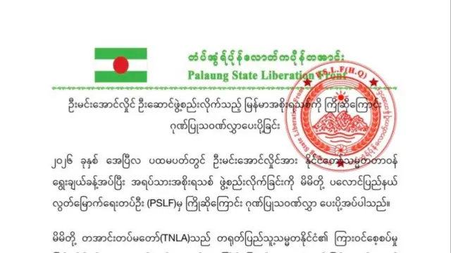 TNLA ထုတ်ပြန်ချက်