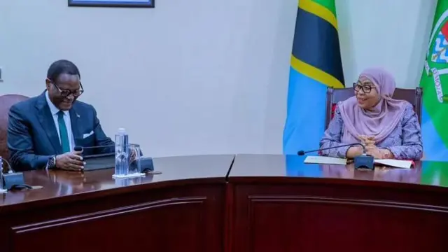 Rais Samia azungumza na mjumbe wa Jumuiya ya Madola