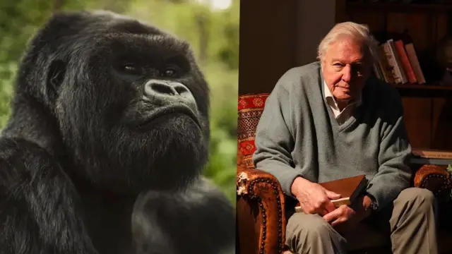 Iyo filimi mbarankuru ivugwa na David David Attenborough ubu uri hafi kuzuza imyaka 100 iratangira kuboneka uyu munsi kuri Netflix