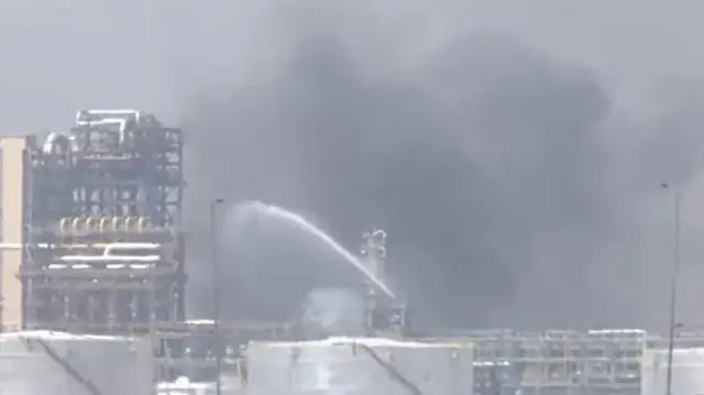 आग पर काबू पाने की कोशिश करते दमकल कर्मी