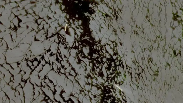 صورة التقطها قمر صناعي تُظهر سفينتي حاويات، وهما "إم إس سي فرانشيسكا" التي ترفع علم بنما وإيبامينونداس التي ترفع علم ليبيريا، يوم الأربعاء.