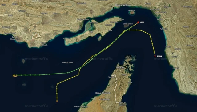 MarineTraffic