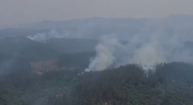 நீலகிரி, காட்டுத்தீ, தமிழ்நாடு