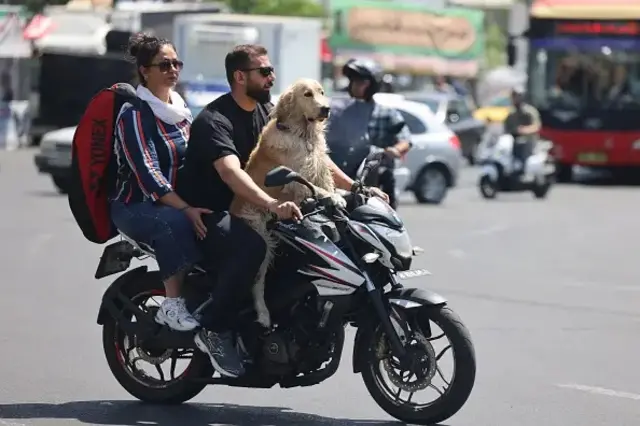 تهران
