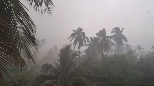 கோவையில் பல்வேறு பகுதிகளில் ஆலங்கட்டி மழை