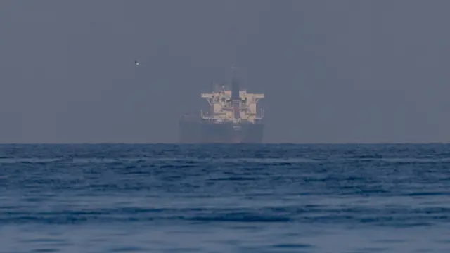 22 मार्च को होर्मुज़ स्ट्रेट में एक जहाज़ की तस्वीर (फ़ाइल फ़ोटो)