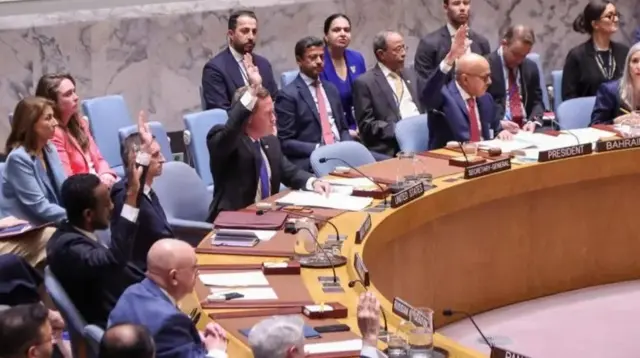 سلامتی کونسل