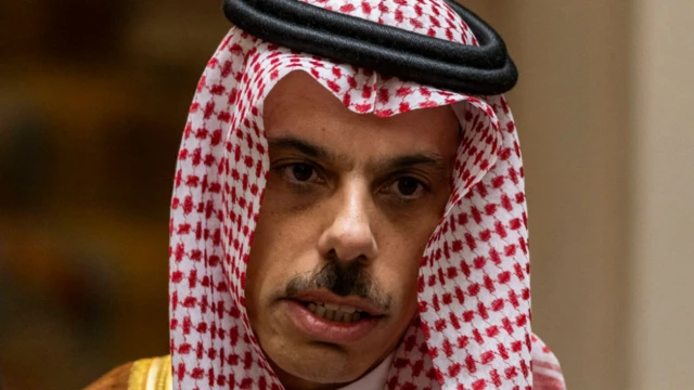 प्रिंस फ़ैसल बिन फ़रहान अल सऊद
