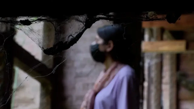 Kashmir