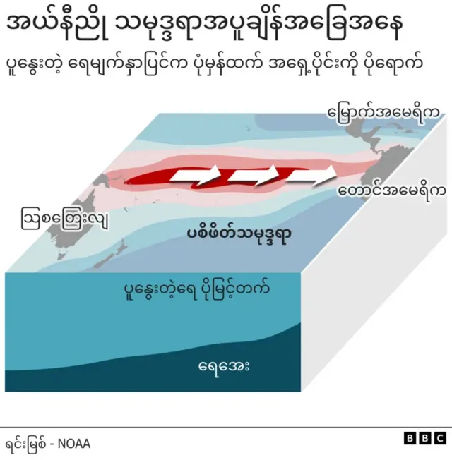 ပစိဖိတ်သမုဒ္ဒရာရဲ့ ရေပူ၊ ရေအေးစီးကြောင်းနဲ့ ရွှေ့လျားပုံ ဂရပ်ဖစ်
