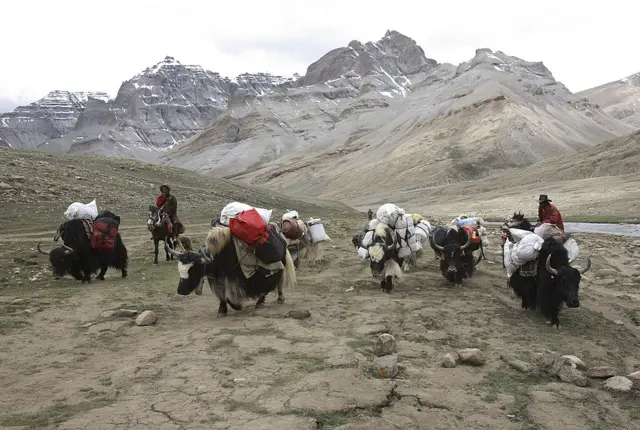 कैलाश जा रहे तीर्थ यात्री (फ़ाइल फ़ोटो)