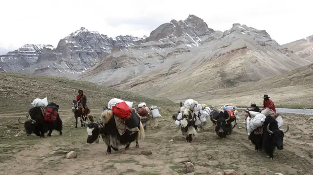 कैलाश जा रहे तीर्थयात्री