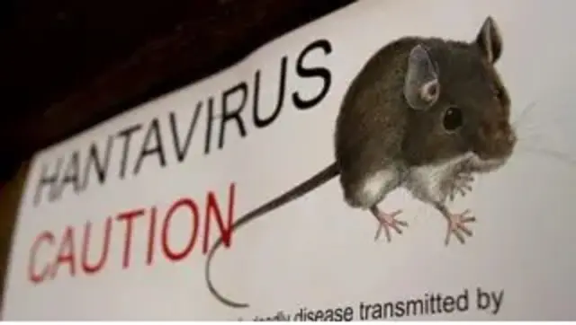 Hantavirus