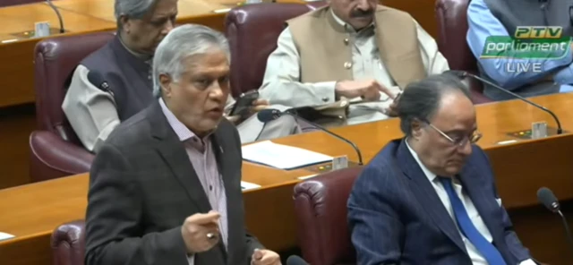 وزیر خارجہ اور نائب وزیر اعظم اسحاق ڈار