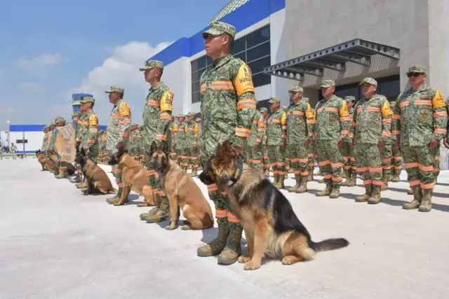 Militares con perros adiestrados en búsqueda y rescate formados