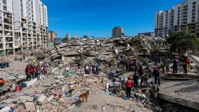 Un perro del equipo argentino de búsqueda y rescate entre los escombros de un edificio colapsado en La Guaira.