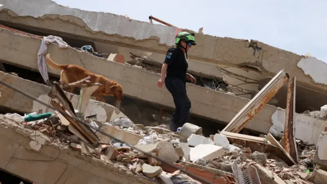 Una mujer estadounidense con un perro rescatista entre los escombros en Venezuela