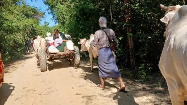 မြေနီလမ်းပေါ်မှာ နွားလှည်းနဲ့ ရွှေ့ပြောင်းသွားလာနေသူတွေ