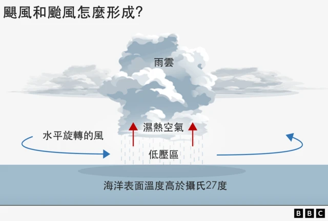 圖解：颱風與颶風如何形成：海洋表面溫度高於攝氏27度，濕熱空氣在低壓區上升形成雨雲，配合水平旋轉的風，熱帶氣旋就此形成。