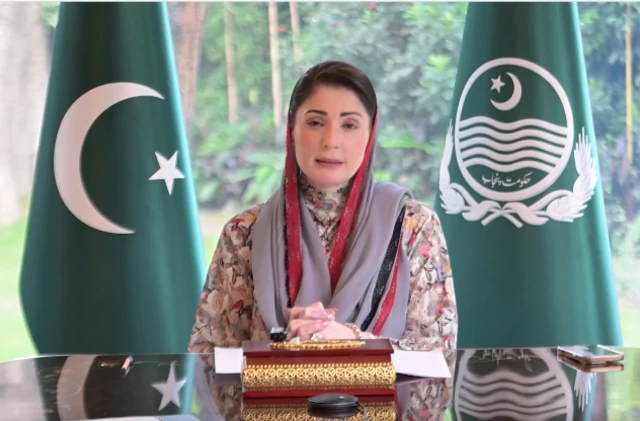 PMLN