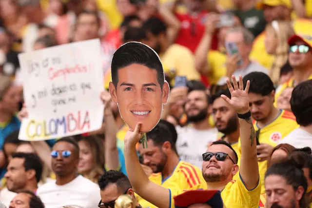 Hincha de Colombia