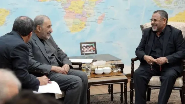 علی‌اکبر ولایتی در دیدار با نمایندگان جنبش انصارالله یمن