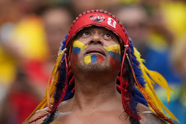 Hincha de Colombia
