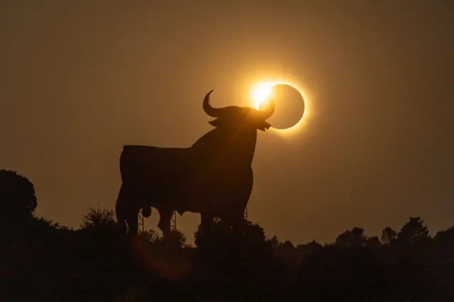 El eclipse captado junto a un toro de Osborne