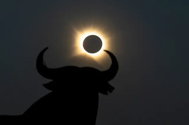 El eclipse captado junto a un toro de Osborne
