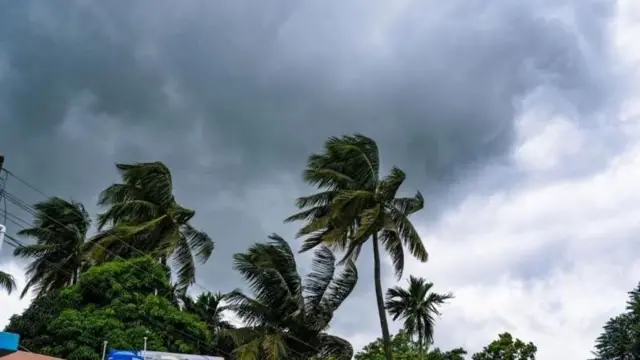 প্রবল বাতাসে গাছপালা নড়ছে