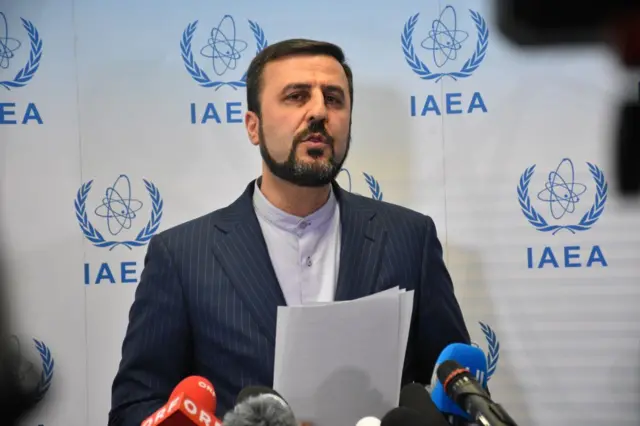 ایران کے نائب وزیر خارجہ کاظم غریب آبادی