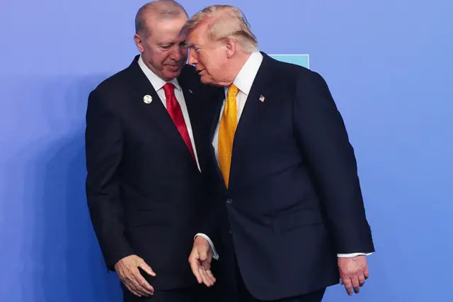 Erdogan, Trump