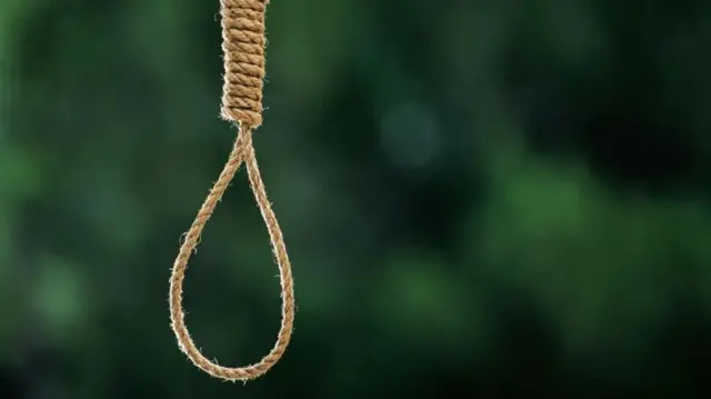 په یوه تت زرغون بیګراونډ کې د اعدام خړه رسۍ راځوړنده ده.